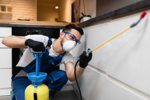 Pest Control for Restaurants in North Sarasota, FL