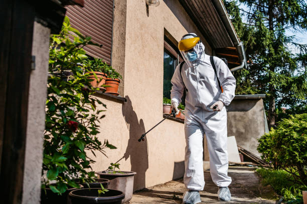 Best Best Pest Control Companies  in North Sarasota, FL