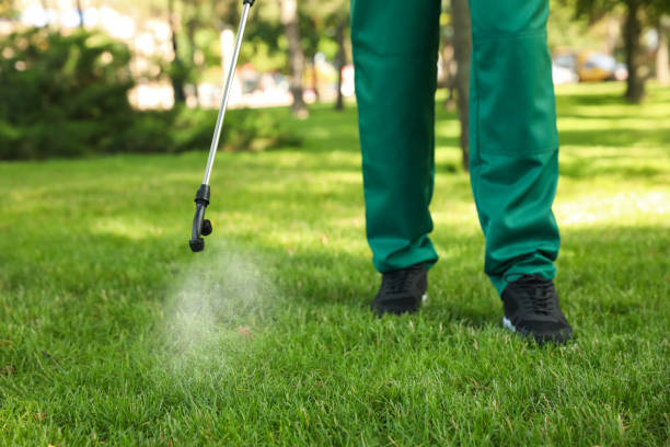 Best Affordable Pest Control Services  in North Sarasota, FL