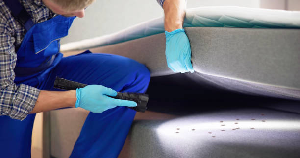  North Sarasota, FL Pest Control Pros