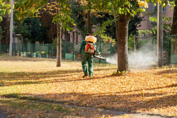 Best Mosquito Control Services  in North Sarasota, FL