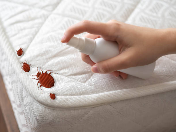 Best Pest Prevention Services  in North Sarasota, FL