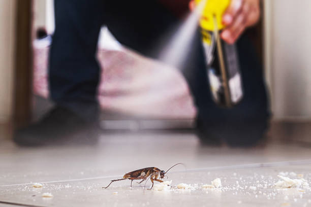 Best Emergency Pest Control  in North Sarasota, FL